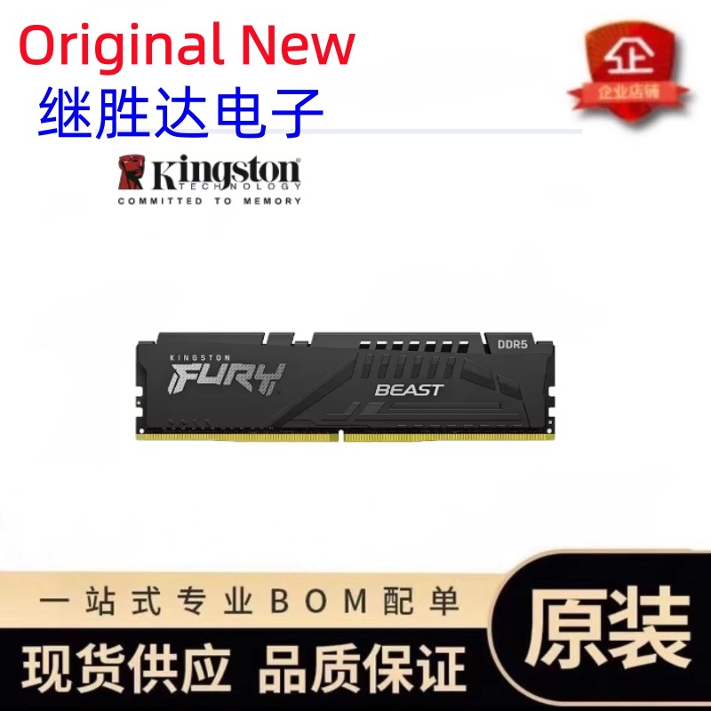 Ram Memory Module - Kingston FURY Beast DDR5 Memory 5600MHz