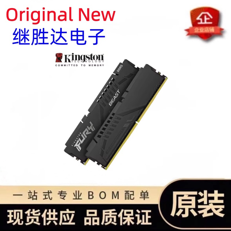 Kingston FURY Beast DDR5 Memor - Ram Memory Module review and price