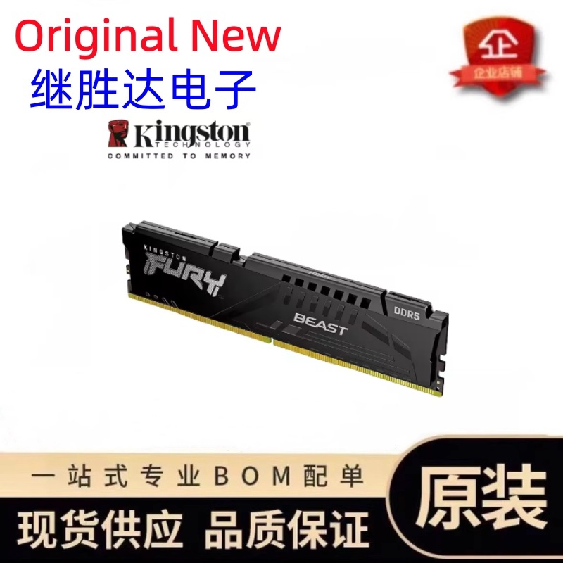 Kingston FURY Beast DDR5 Memor - Ram Memory Module review and price